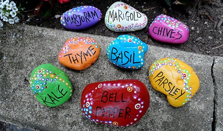 rocks painted as plant markers